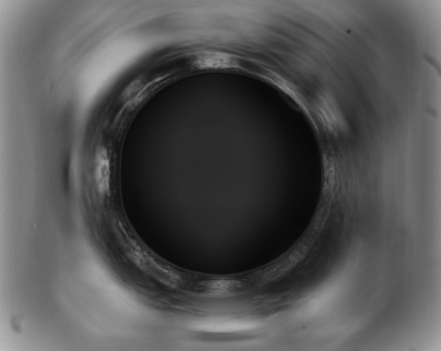 X0000103131151200808221148