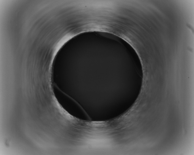 X0000103131152200808221148