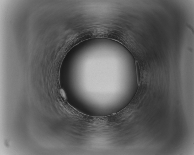 X0000103131153200808221147