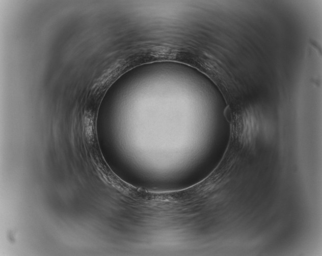 X0000103131154200808221147