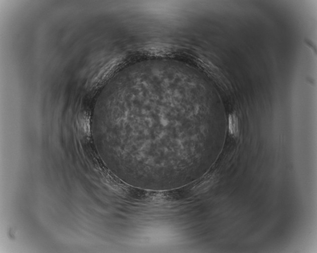 X0000103131155200808221147