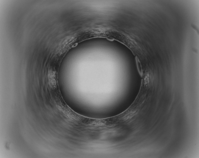 X0000103131156200808221147