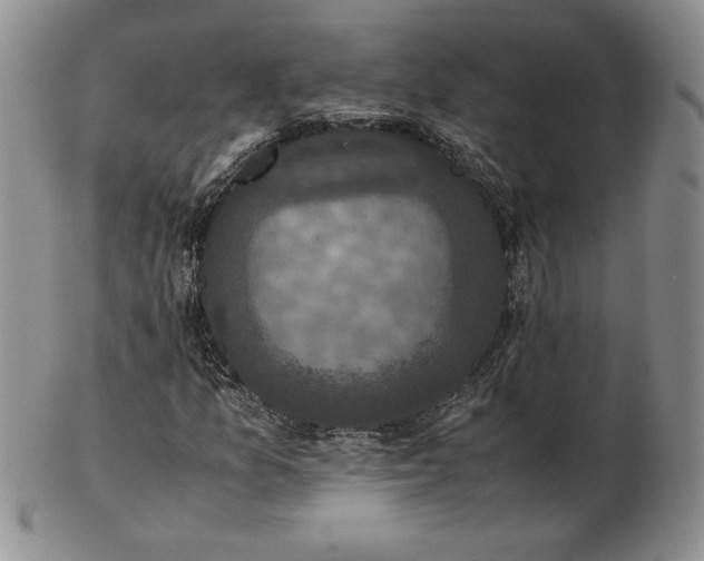 X0000103131157200808221147