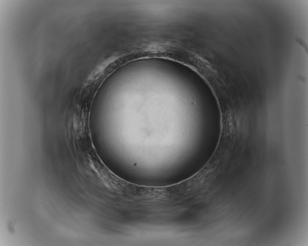 X0000103131158200808221147