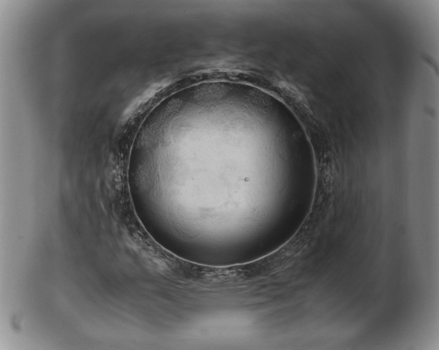 X0000103131159200808221147