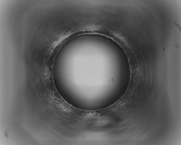 X0000103131160200808221147