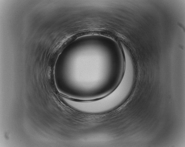 X0000103131161200808221147