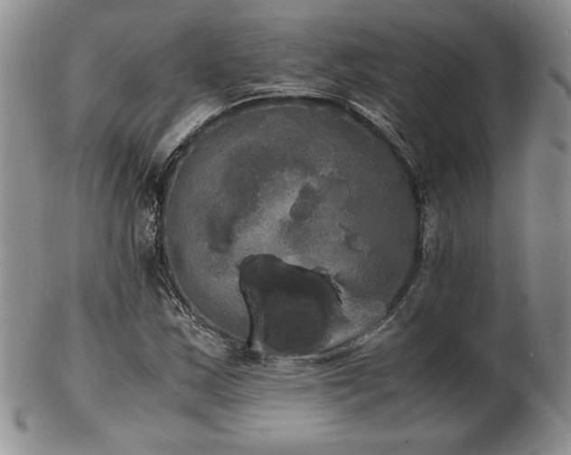 X0000103131163200808221147