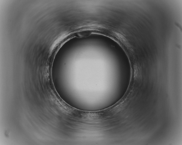 X0000103131164200808221147