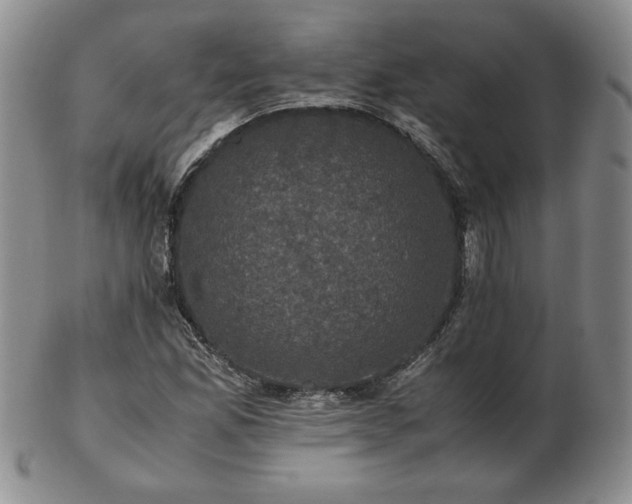 X0000103131165200808221147