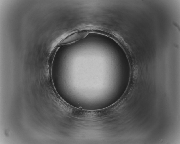 X0000103131167200808221147