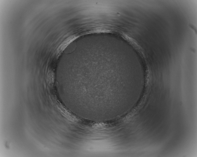 X0000103131169200808221147