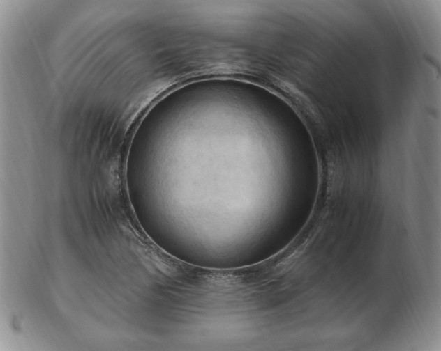 X0000103131170200808221147