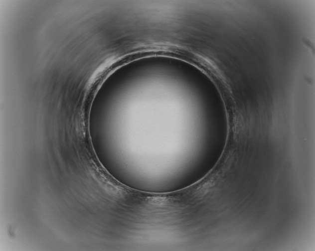 X0000103131172200808221147