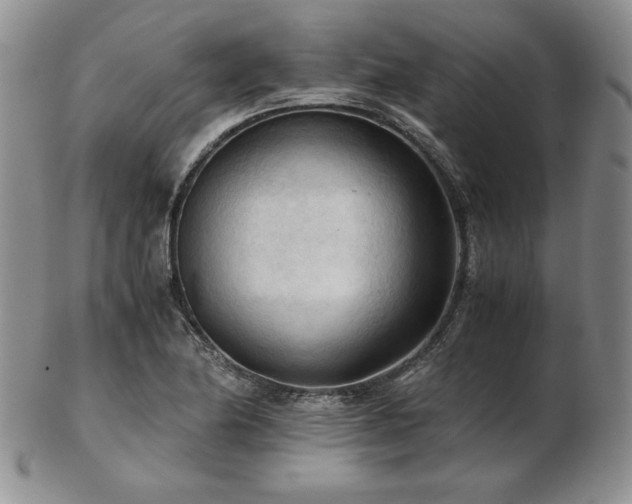 X0000103131174200808221147