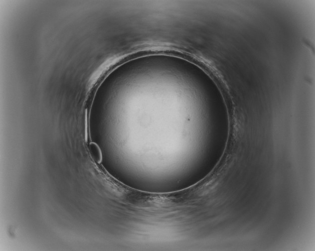 X0000103131175200808221147