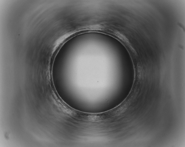 X0000103131176200808221147