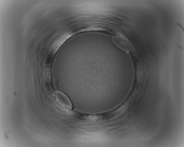 X0000103131177200808221147