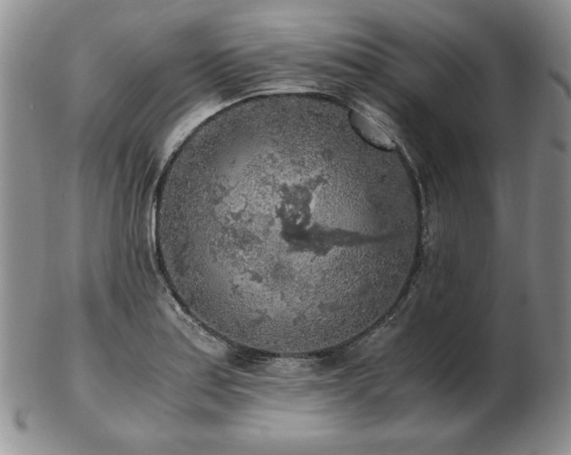 X0000103131179200808221147