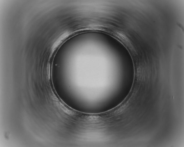 X0000103131180200808221147