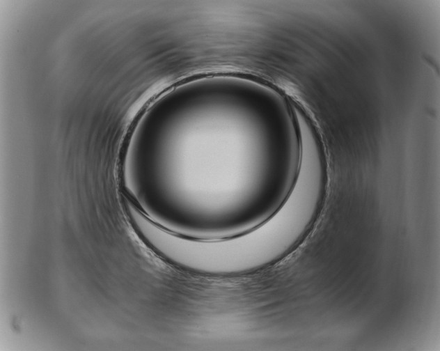 X0000103131181200808221147