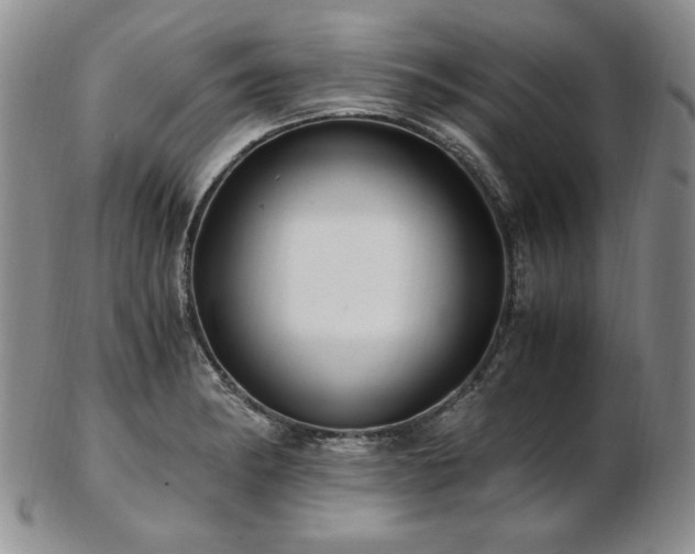 X0000103131182200808221147