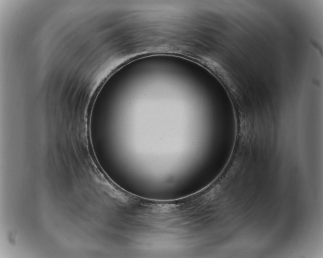 X0000103131184200808221147