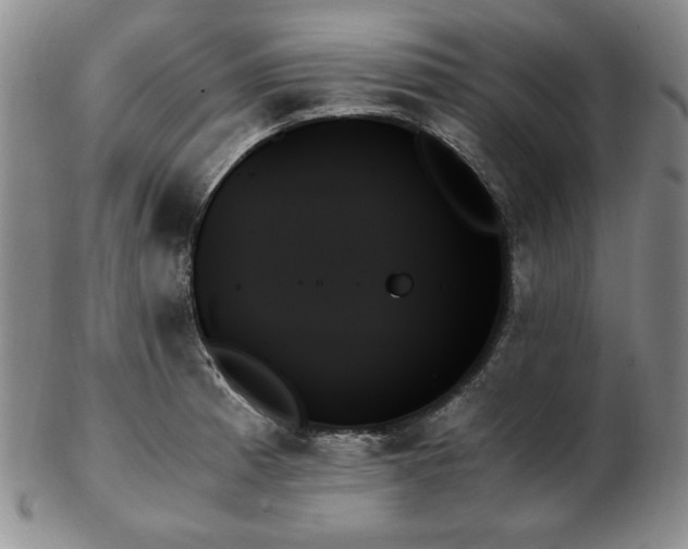 X0000103131185200808221147