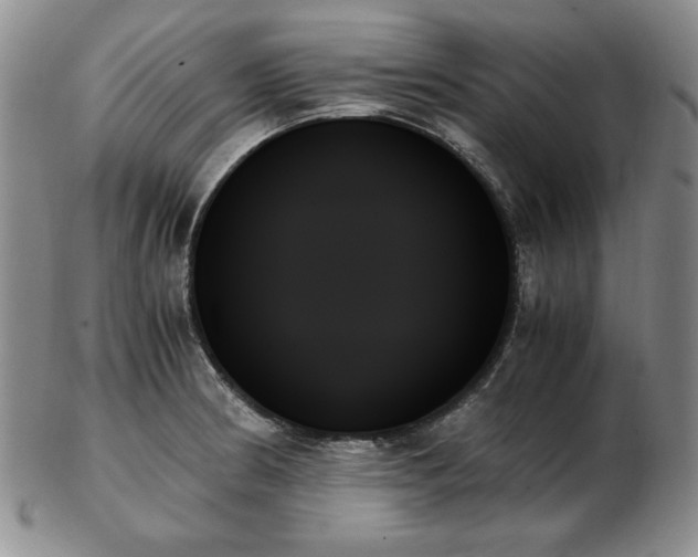 X0000103131186200808221147