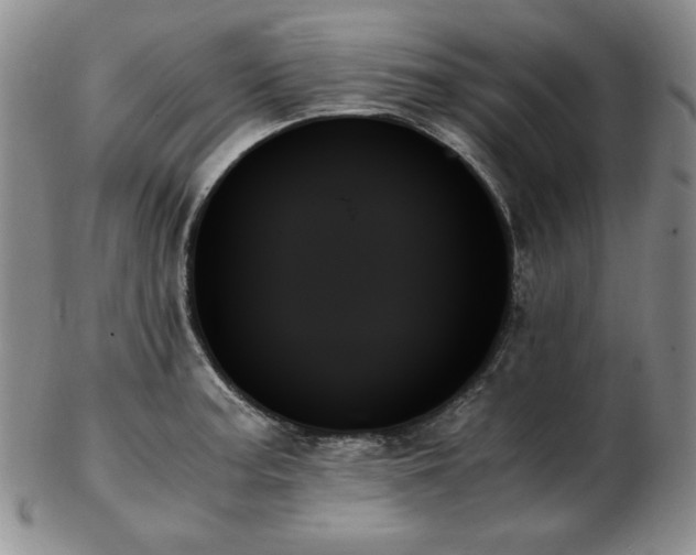X0000103131187200808221147