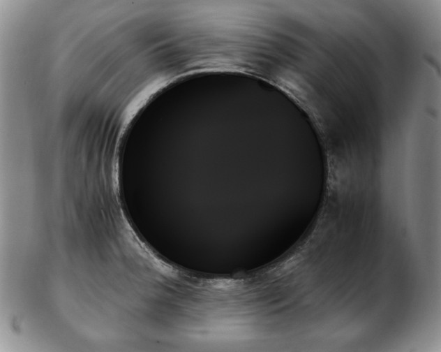 X0000103131188200808221147