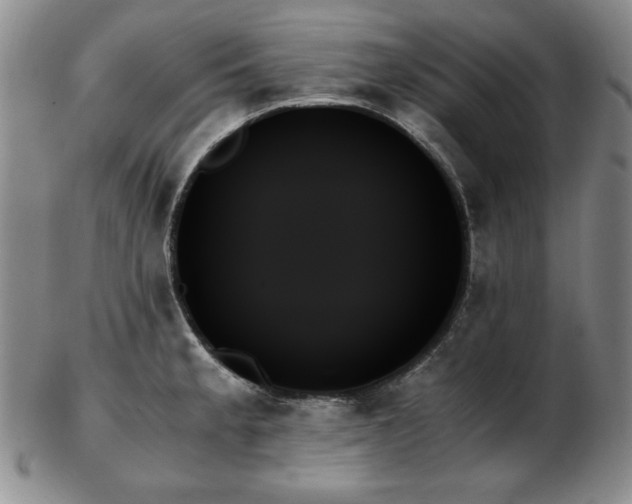 X0000103131189200808221147