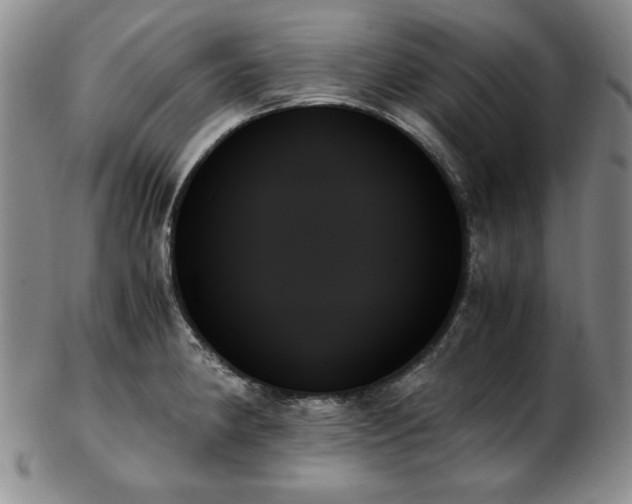 X0000103131190200808221147