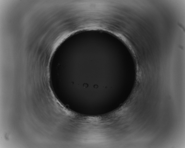 X0000103131191200808221147