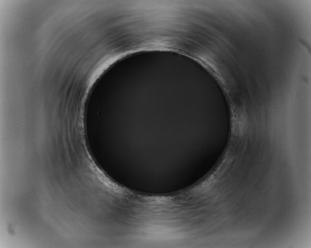 X0000103131192200808221147