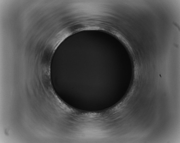 X0000103131193200808221147