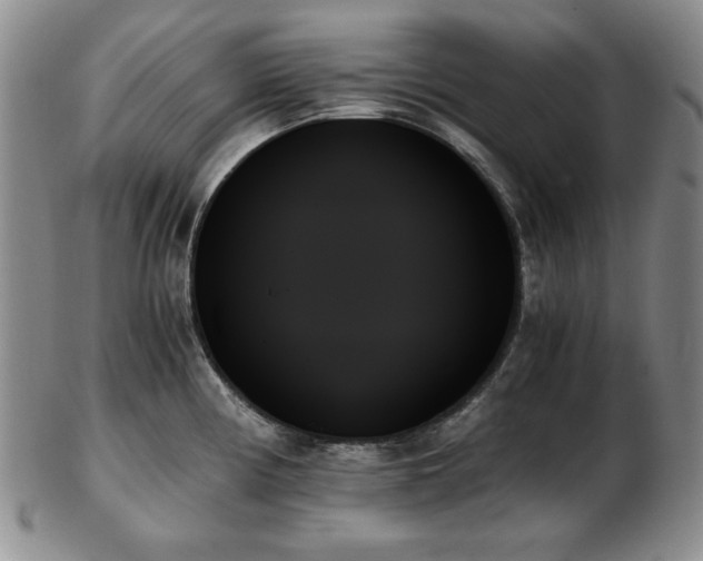 X0000103131194200808221147