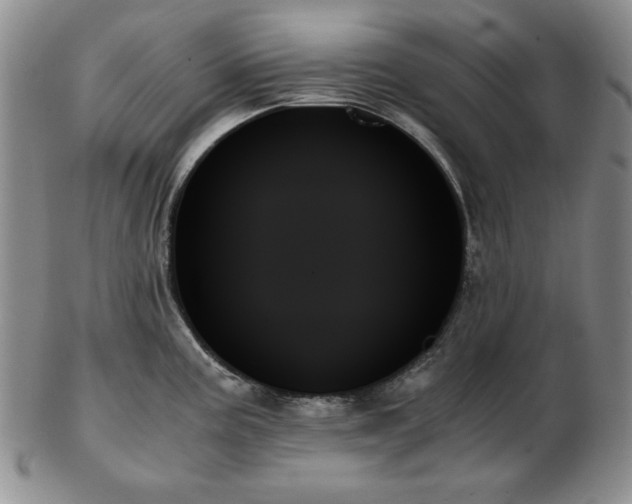 X0000103131195200808221147