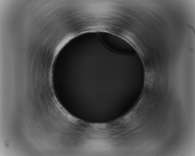 X0000103131196200808221147