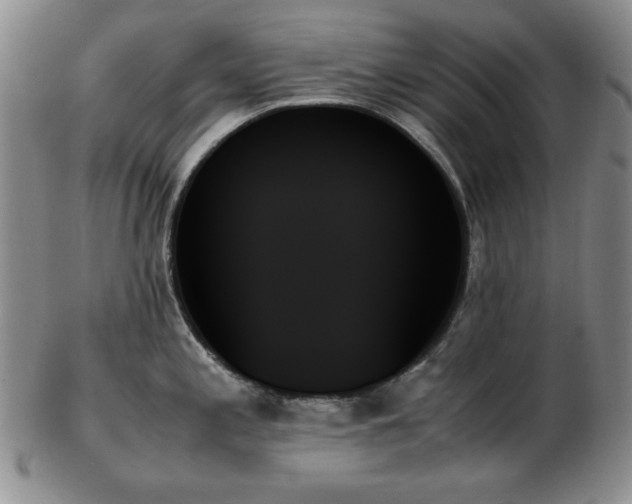 X0000103131197200808221147