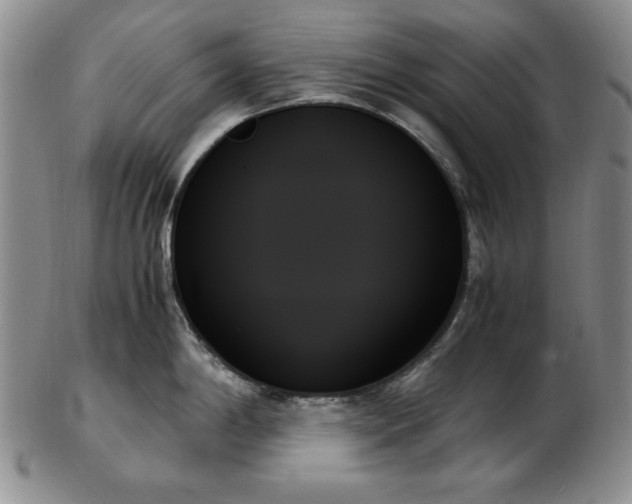 X0000103131198200808221147