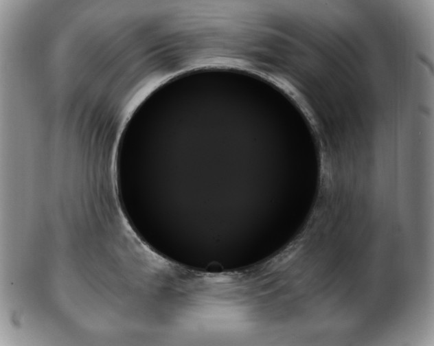 X0000103131199200808221146