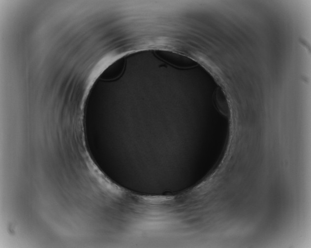 X0000103131200200808221146