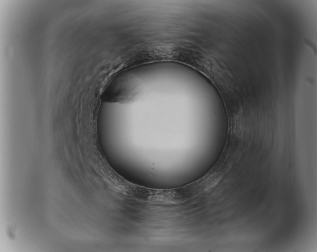 X0000103131201200808221146