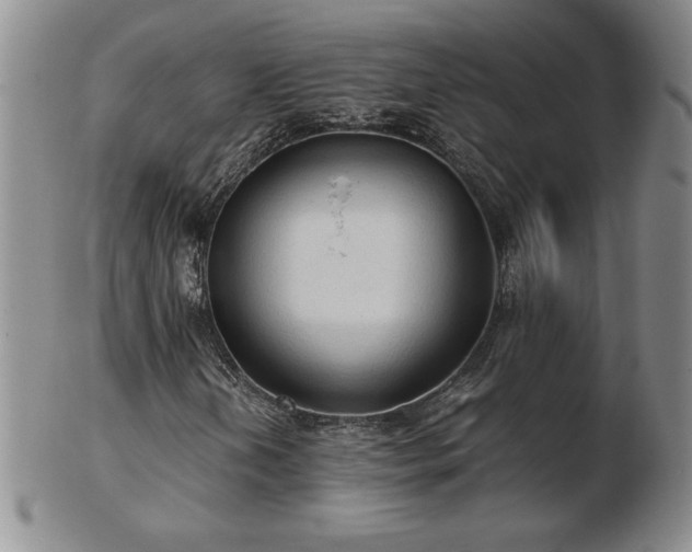 X0000103131202200808221146