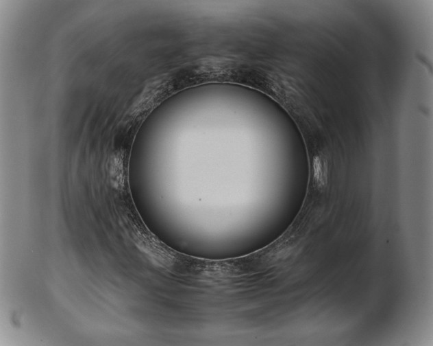X0000103131203200808221146