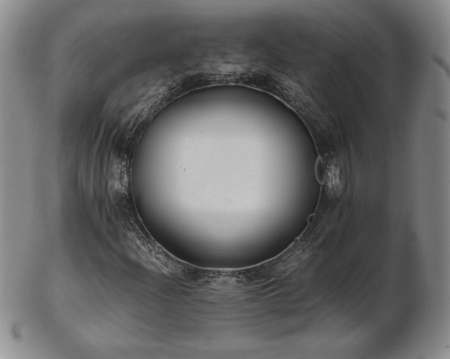 X0000103131204200808221146