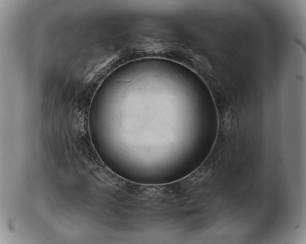 X0000103131205200808221146