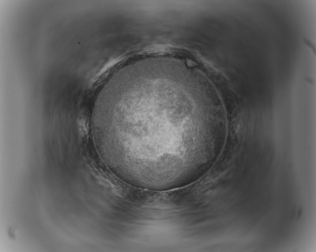X0000103131206200808221146