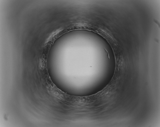 X0000103131207200808221146